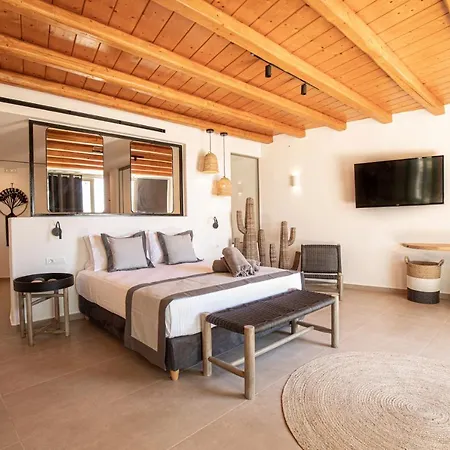 Ikies Of Mykonos 3* Mykonos Town