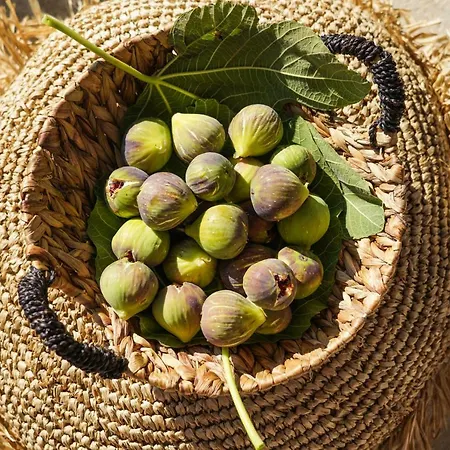 Ikies Of Mykonos Bed & Breakfast Mykonos Town