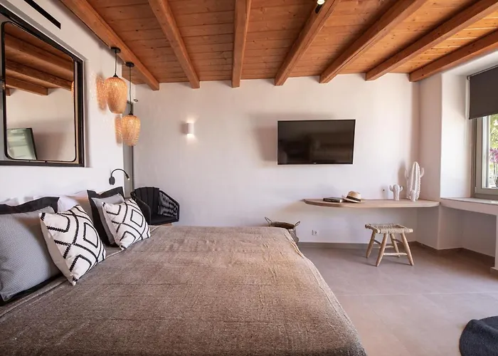 Ikies Of Mykonos فندق مبيت وإفطار 5*