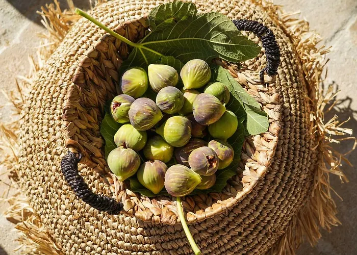 Ikies Of Mykonos 住宿加早餐酒店 Mykonos Town